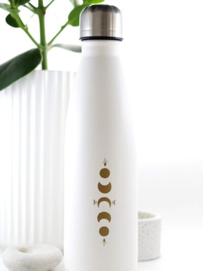 Insulated Stainless Steel Water Bottle | 500 ml