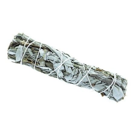 Dried White Sage Stick for Smudging