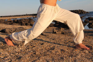 Yoga Glossary C and D – Chakras and Down Dog